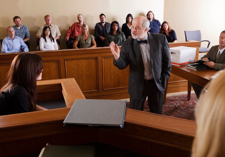 Role of Expert Witnesses